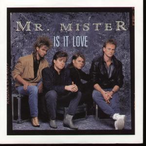 Mr Mister - Is It Love - 7 Inch