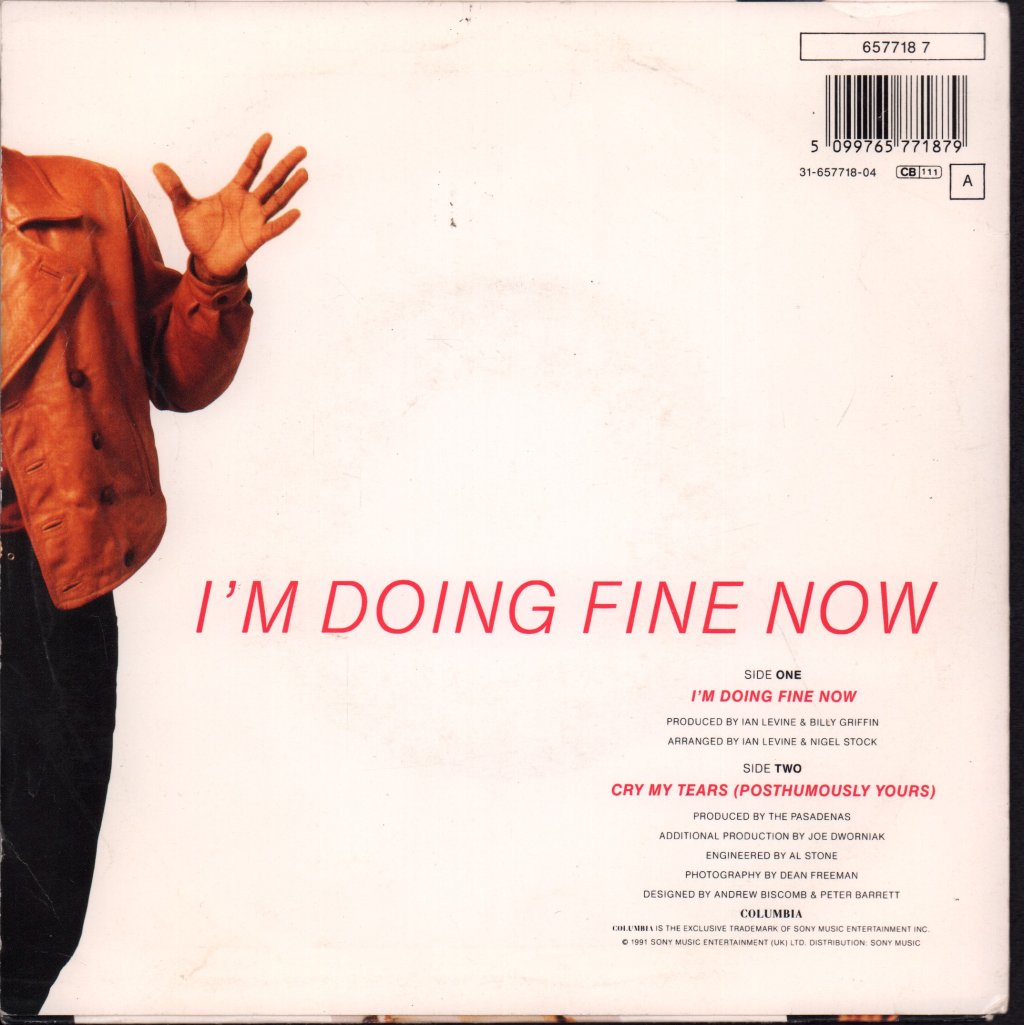 Pasadenas - I'm Doing Fine Now - 7 Inch