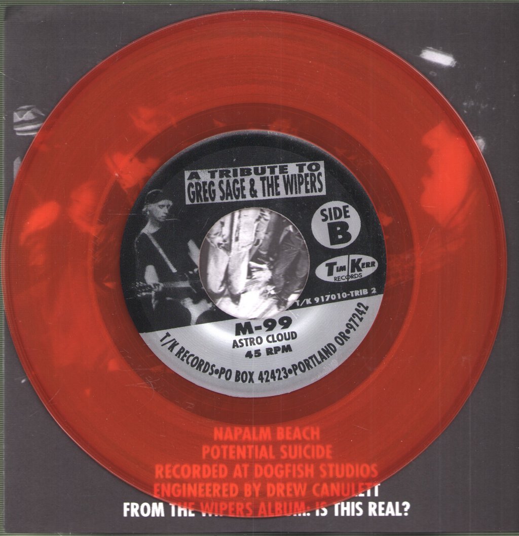 Various Artists - Eight Songs For Greg Sage And The Wipers - 7 Inch Set