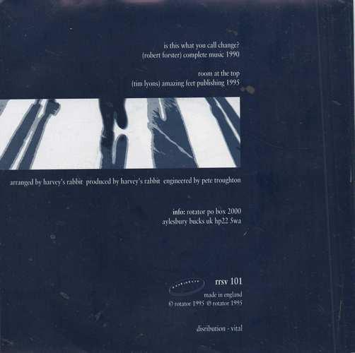 Harvey's Rabbit - Is This What You Call Change? - 7 Inch