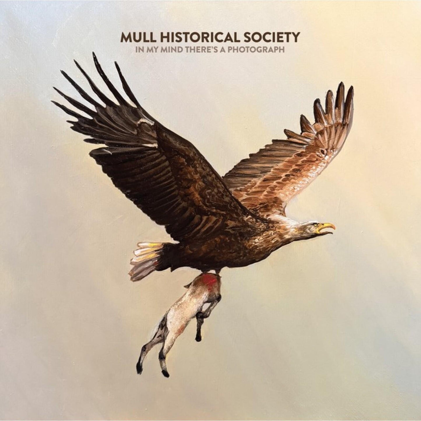 Mull Historical Society - In My Mind There's A Photograph - Cd