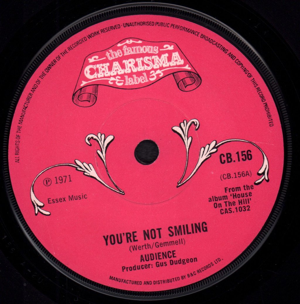Audience - You're Not Smiling - 7 Inch