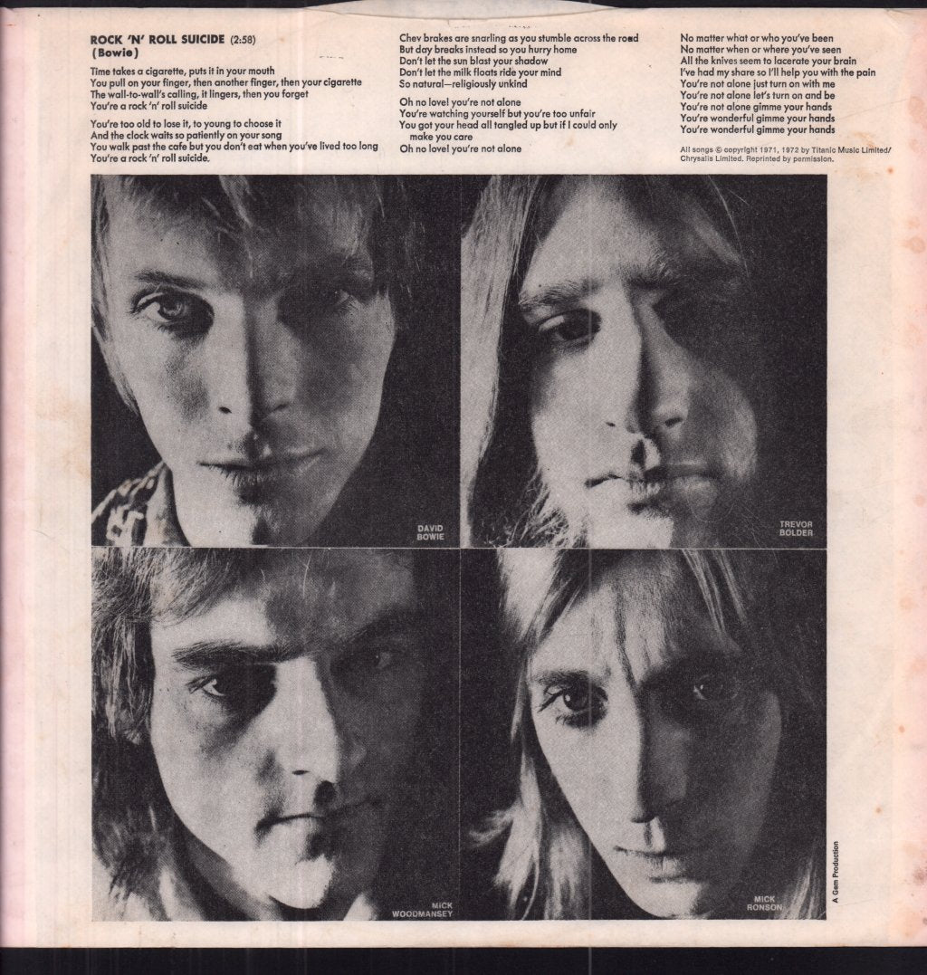David Bowie - Ziggy Stardust - Lp