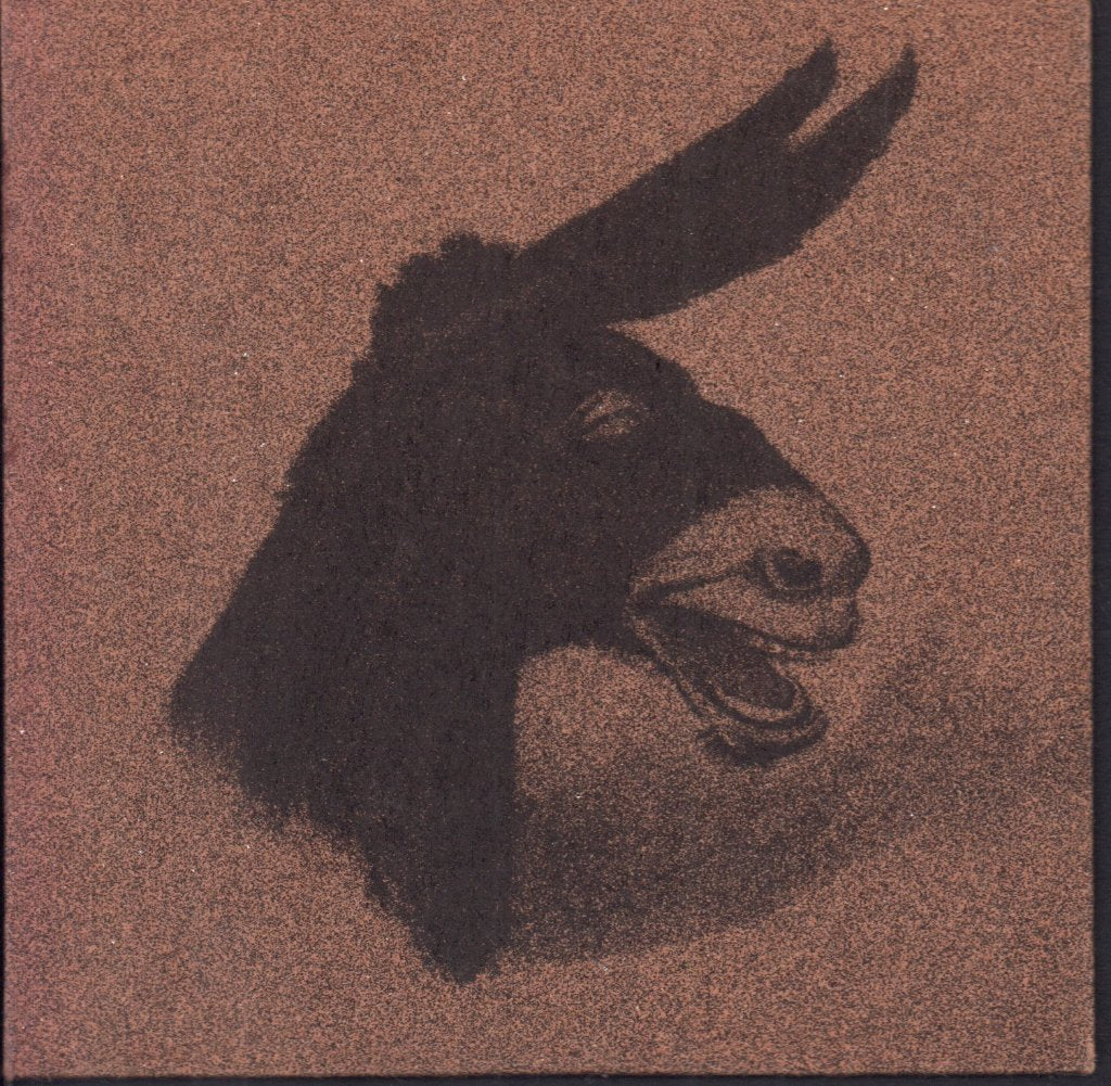 Beck - Sissyneck - Cd