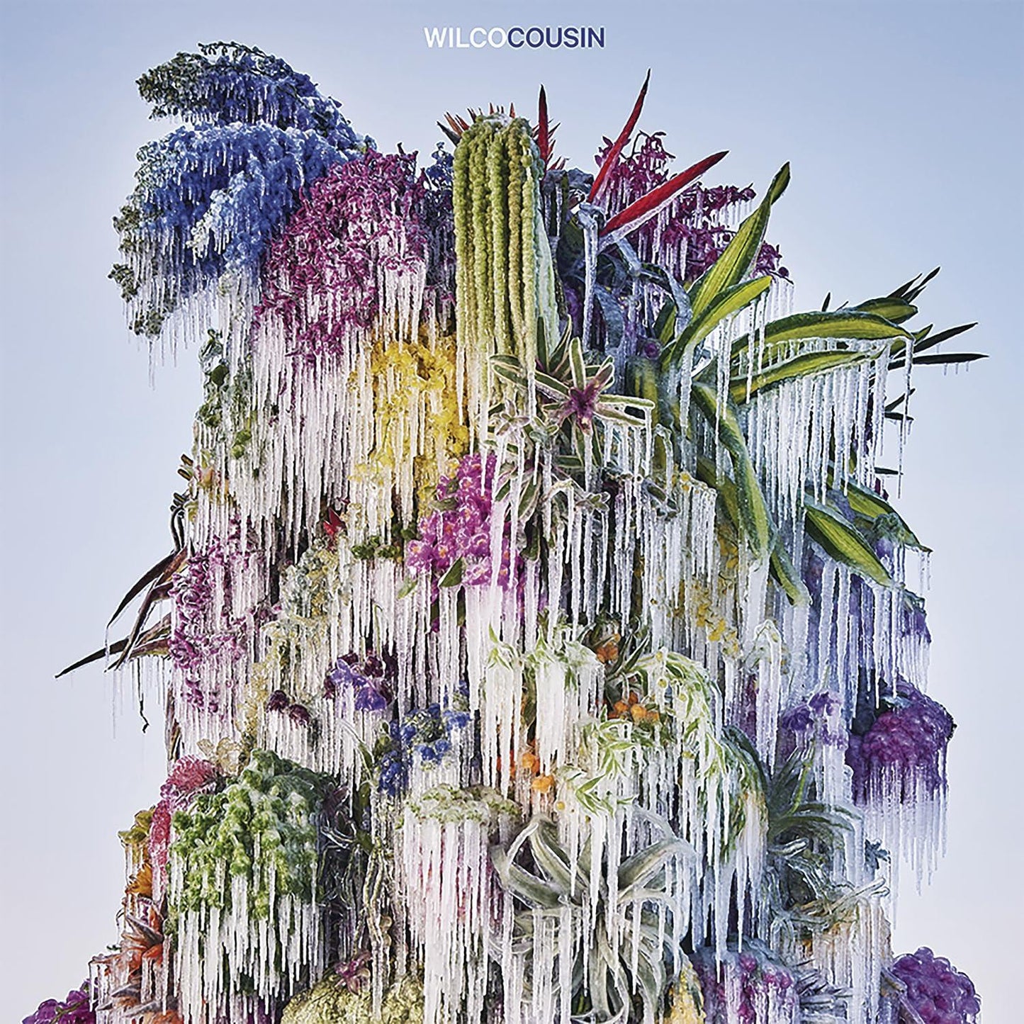 Wilco - Cousin - Cd
