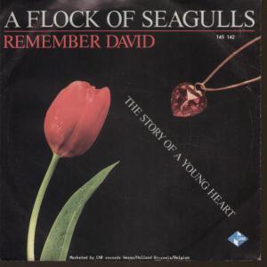 A Flock Of Seagulls - Remember David - 7 Inch