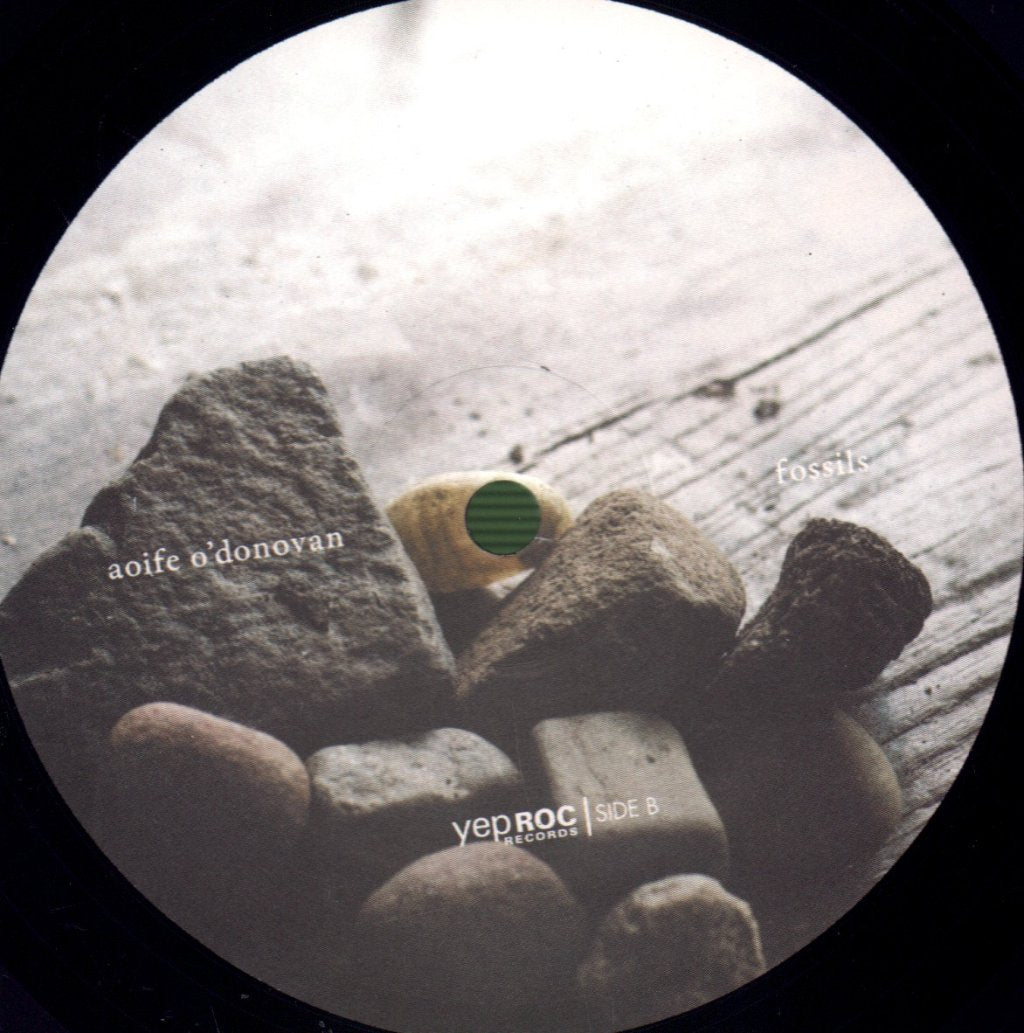 Aoife O'Donovan - Fossils - Lp