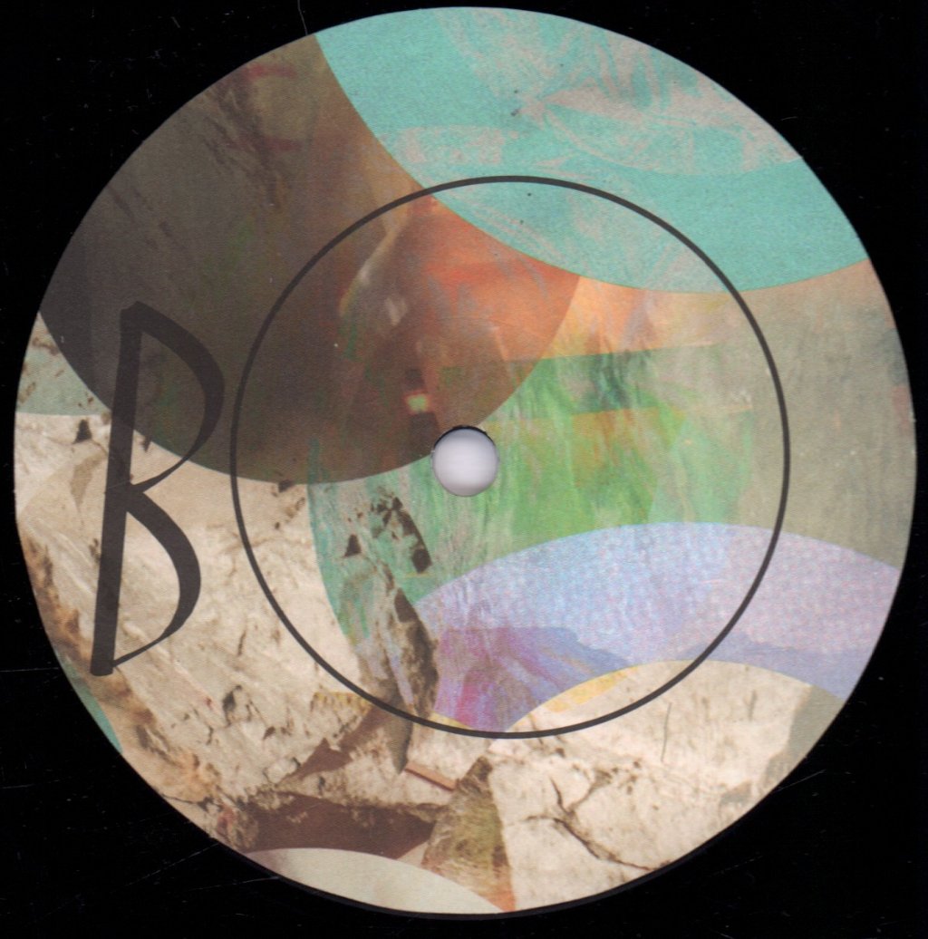 Pistol Disco - Evergreen - Lp