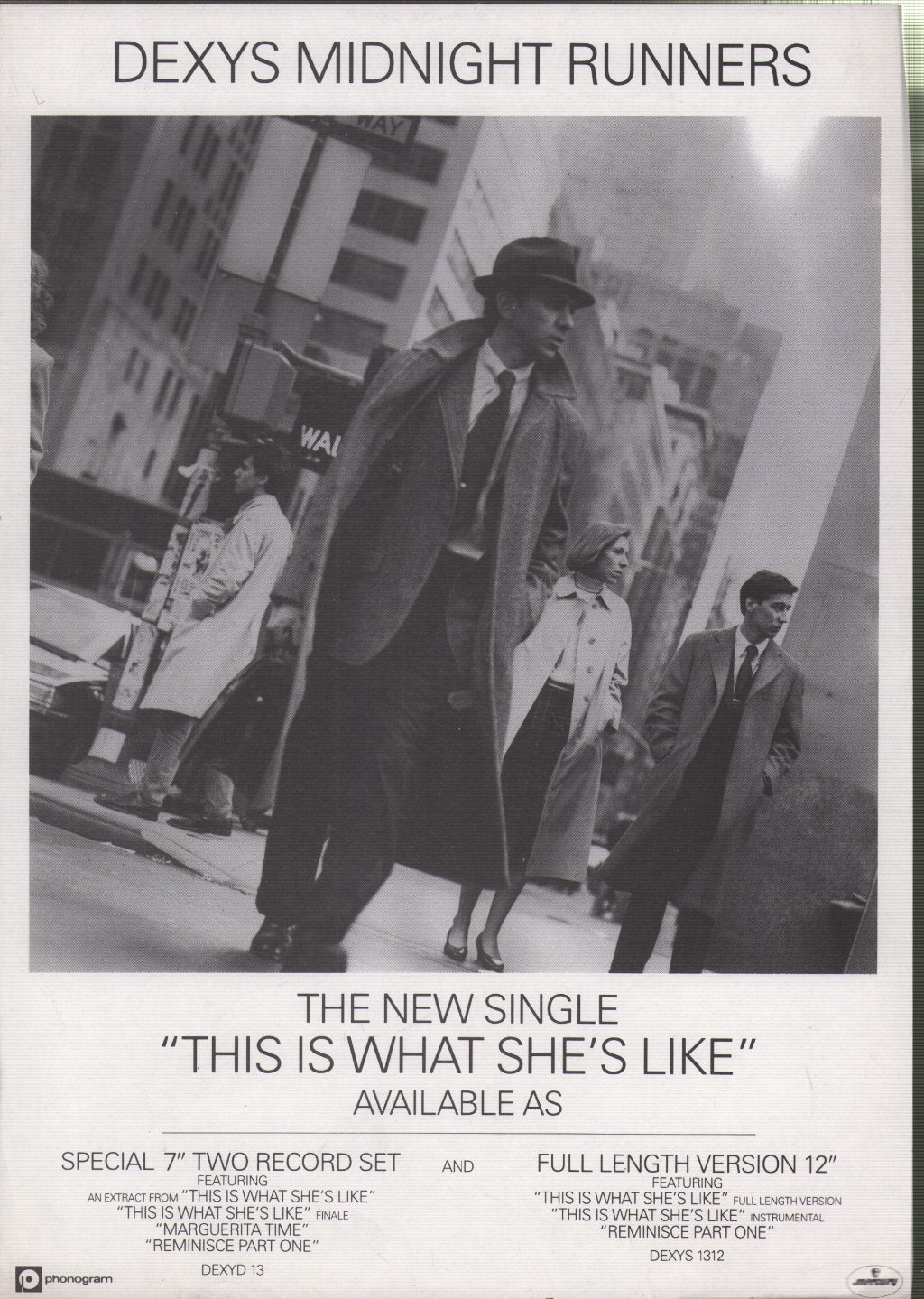 Dexys Midnight Runners - This Is What She's Like - Flyer