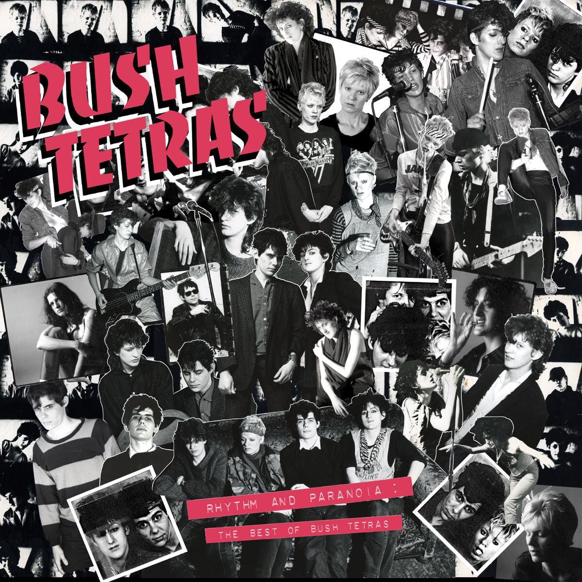 Bush Tetras - Rhythm and Paranoia: the Best of Bush Tetras - Double Cd