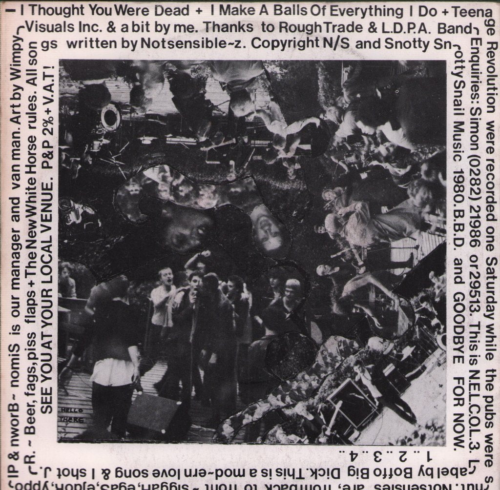 Notsensibles - I Thought You Were Dead - 7 Inch