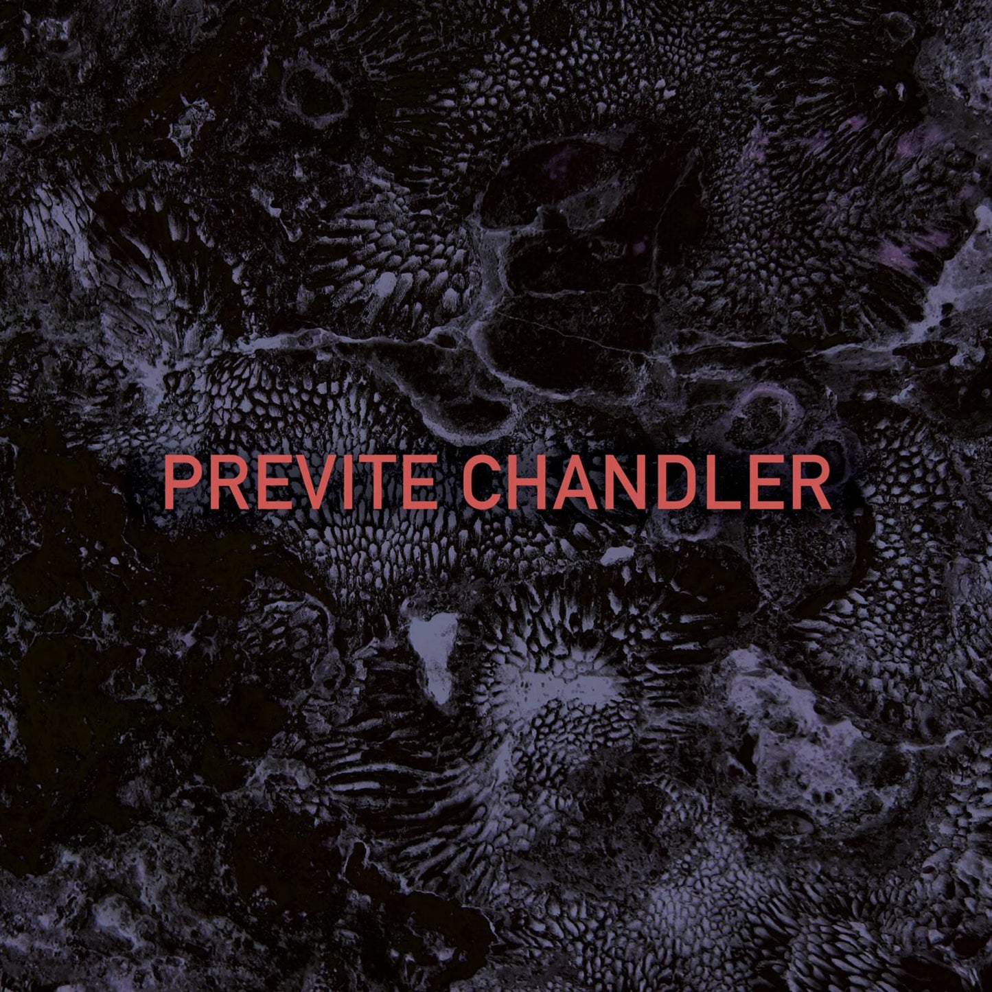 Previte Chandler - Previte Chandler - Lp