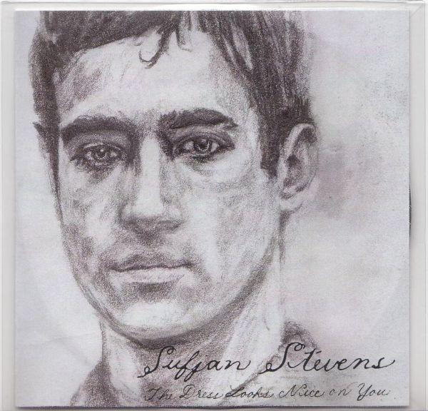 Sufjan Stevens - Dress Looks Nice On You - Cdr