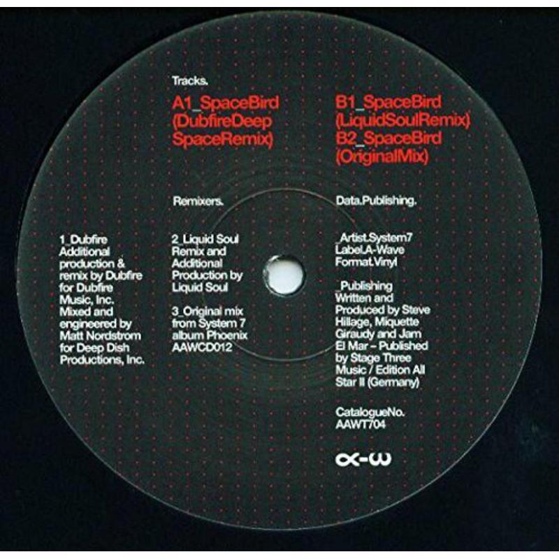 System 7 - Space Bird Dubfire and - 12 Inch