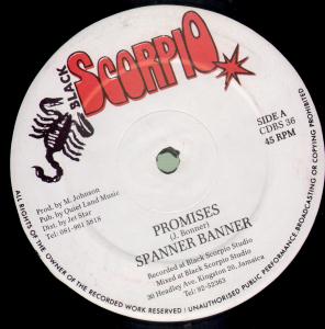 Spanner Banner - Promises - 12 Inch