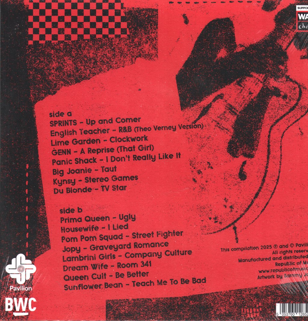 Various Artists - Break The Glass, Burn The Cage (The Sound of Indie Punk Rock) - Lp