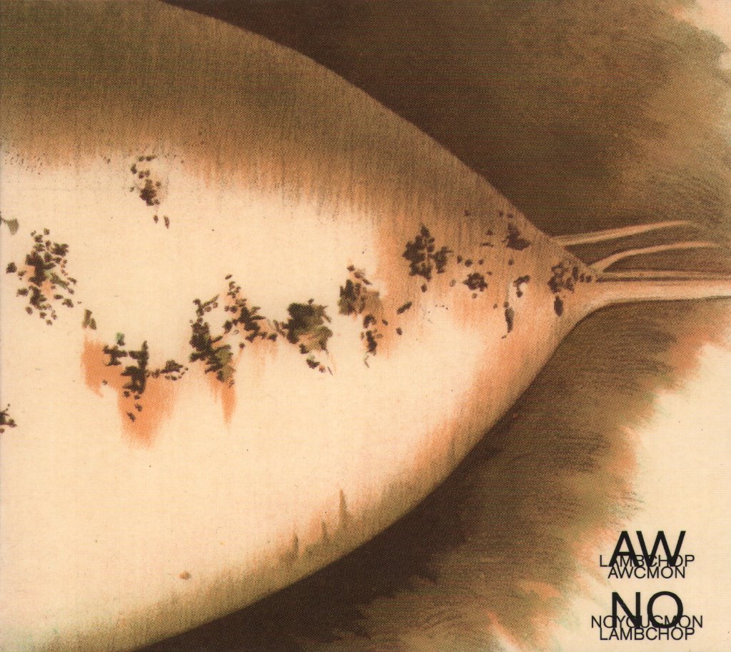 Lambchop - AWCMON / NOYOUCMON - Double Cd