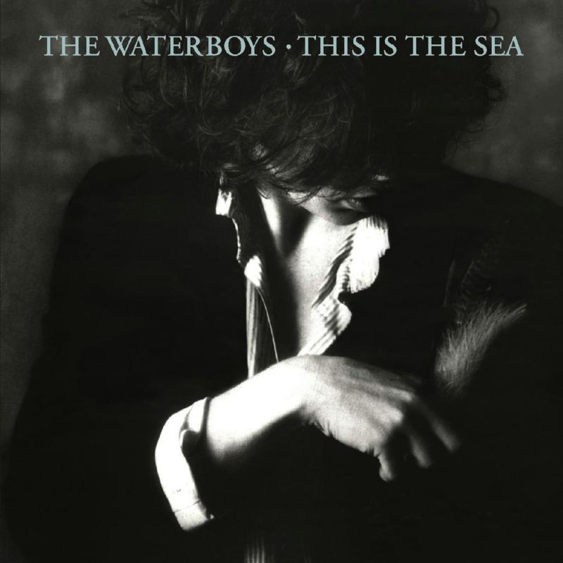 Waterboys - This Is the Sea - Double Cd