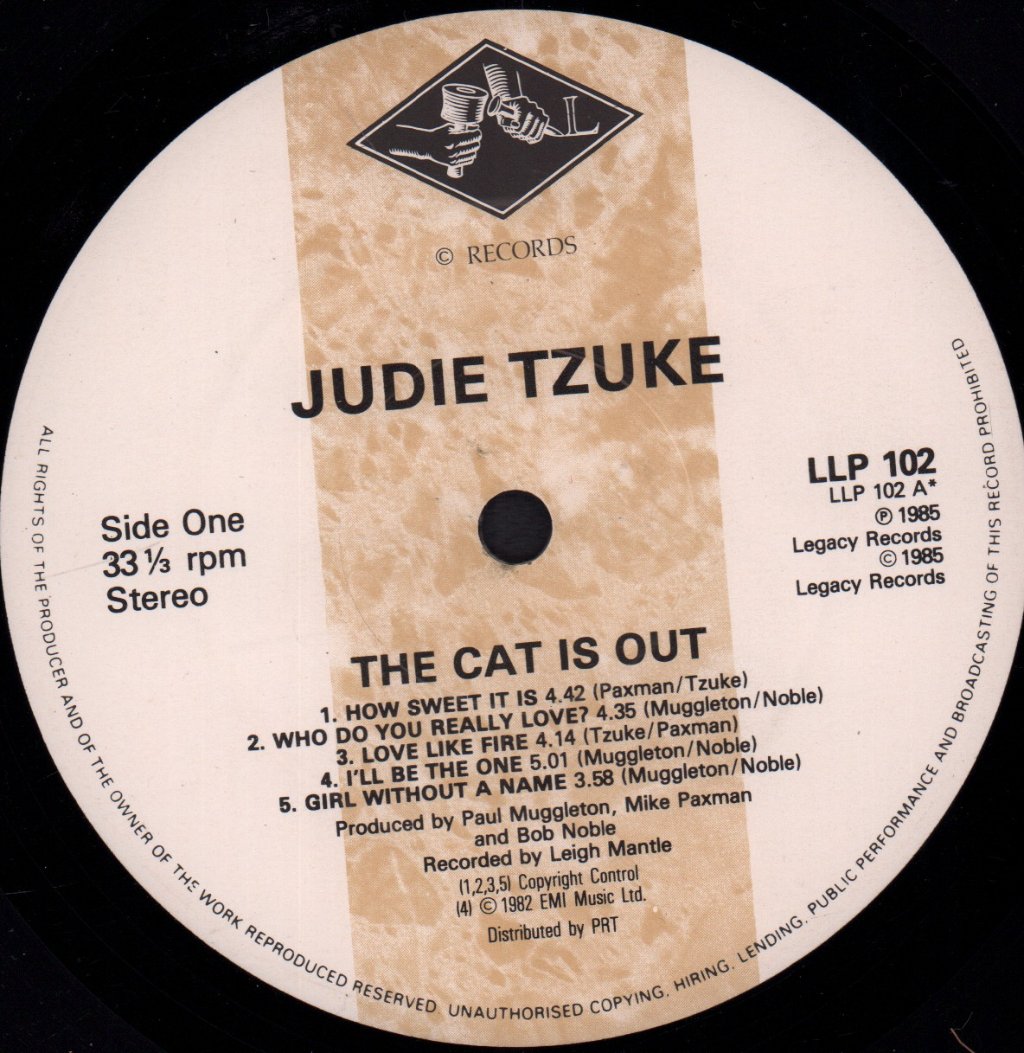 Judie Tzuke - Cat Is Out - Lp
