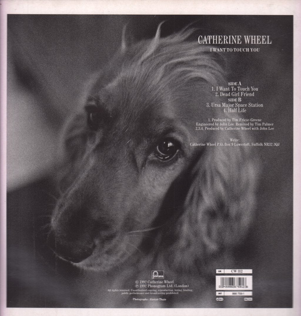 Catherine Wheel (Shoegazing Group) - I Want To Touch You - 12 Inch