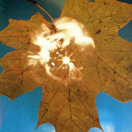 Soyuz - Force of the Wind - Lp