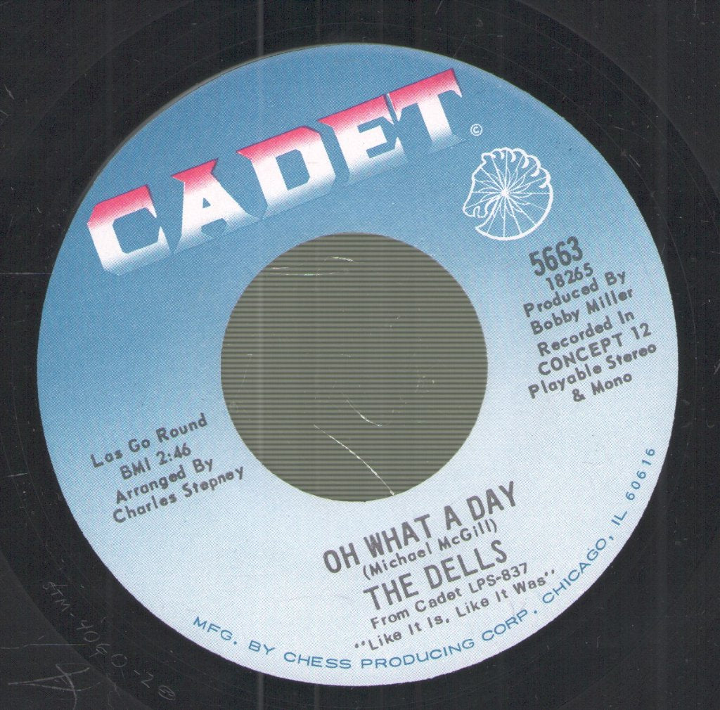 Dells - Change We Go Thru For Love - 7 Inch