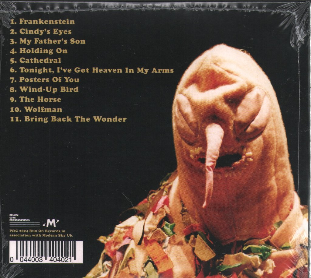 Dream Machine - Small Time Monsters - Cd