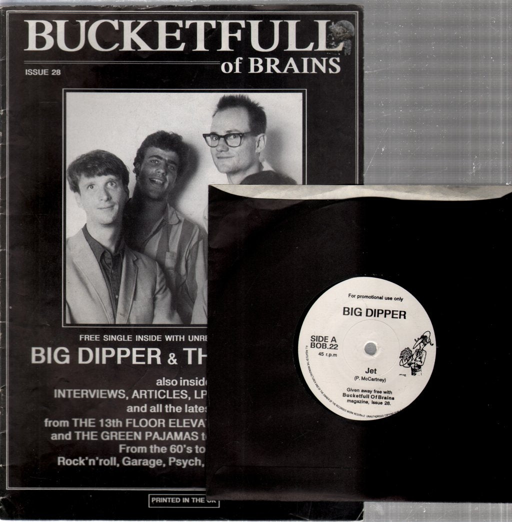 bucketfull of brains - issue 28 with big dipper/droogs 7" - Magazine