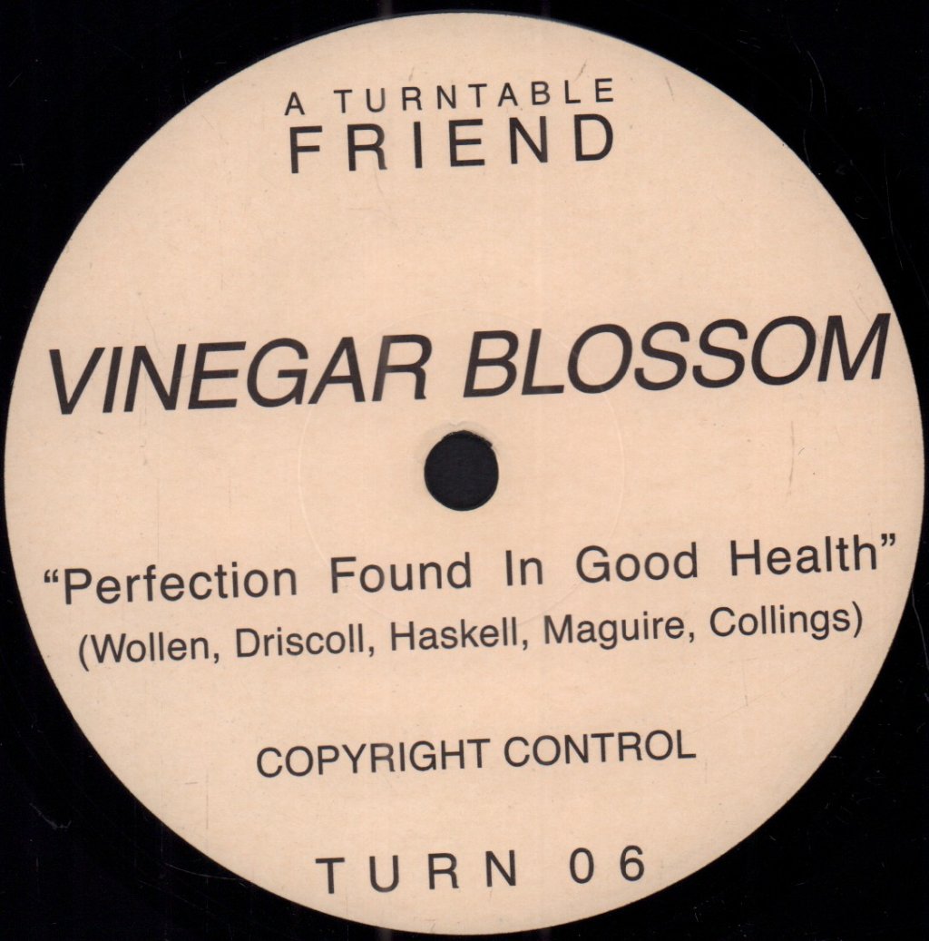 Vinegar Blossom - Absence Of A Choice - 7 Inch