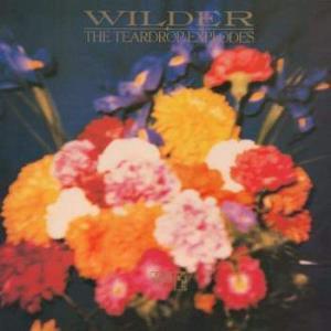 Teardrop Explodes - Wilder - Lp