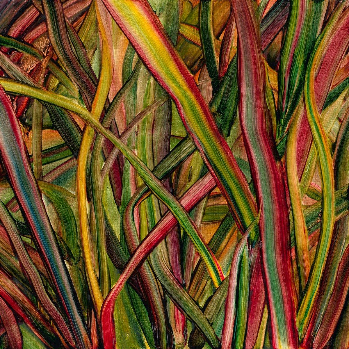Gengahr - Where Wildness Grows - Lp