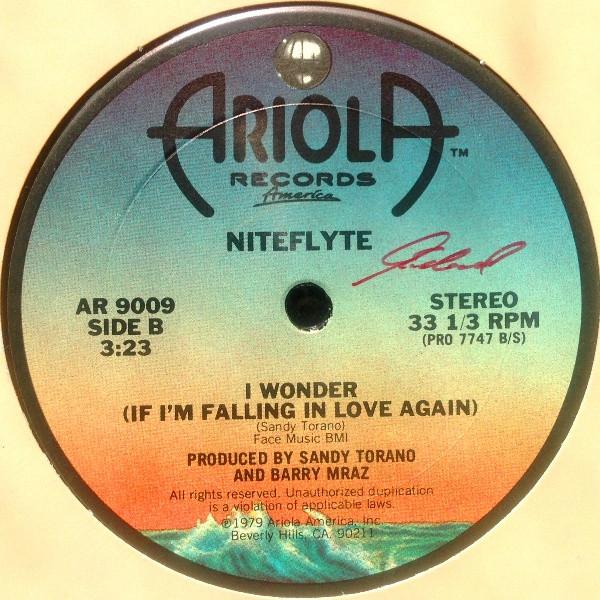 Niteflyte - If You Want It - 12 Inch