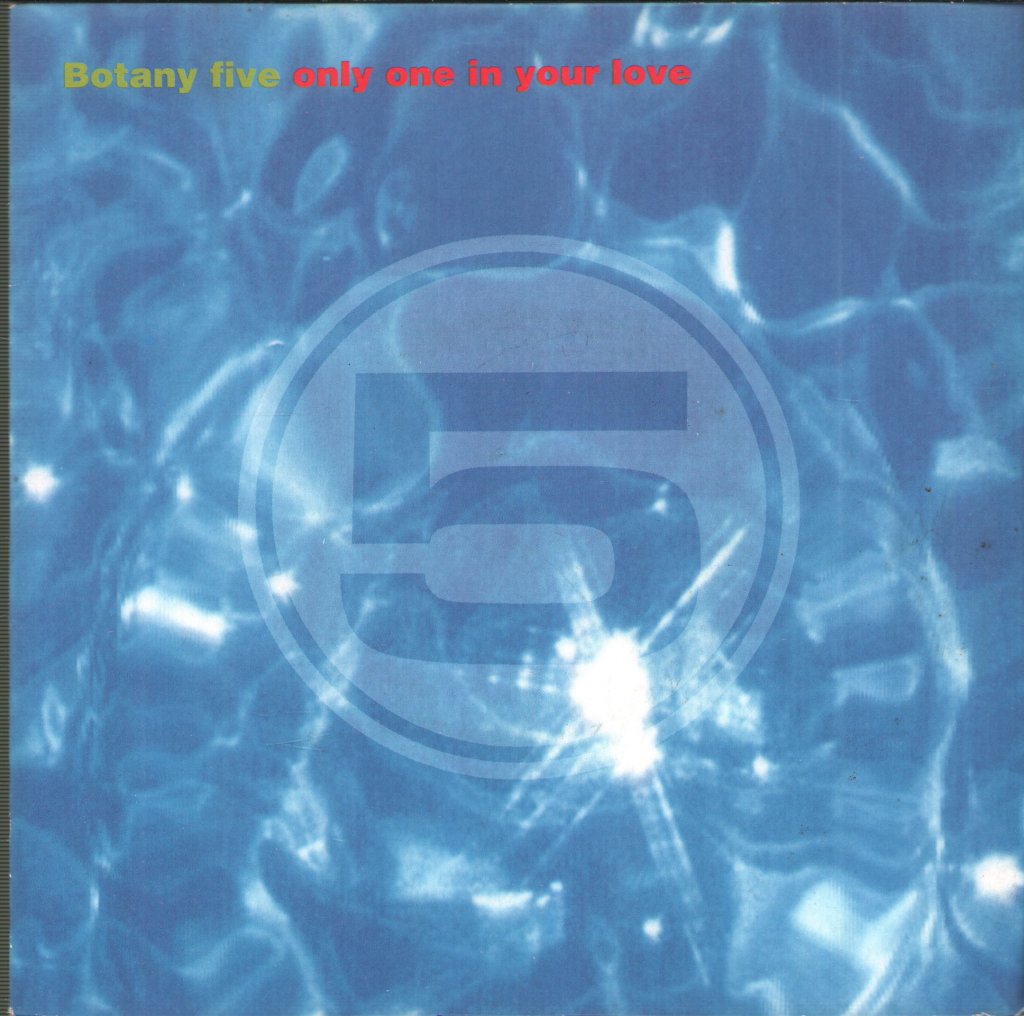 Botany 5 - Only One In Your Love - 7 Inch