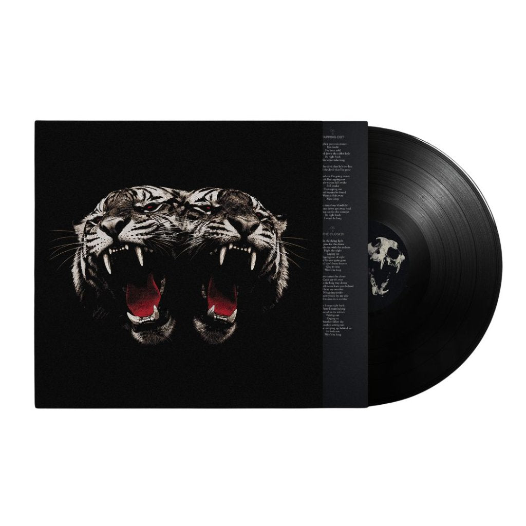 Royal Blood - DEAD COMPANY - Lp