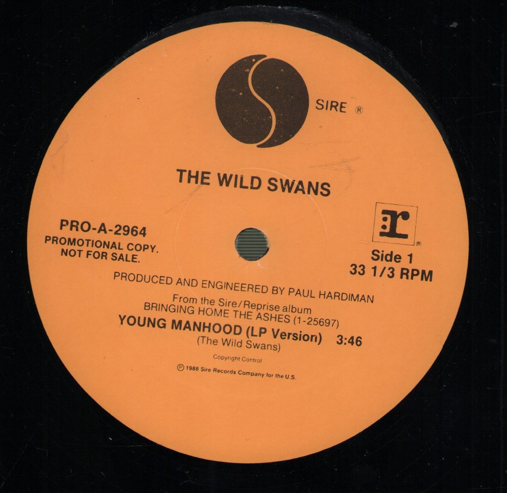 Wild Swans - Young Manhood - 12 Inch