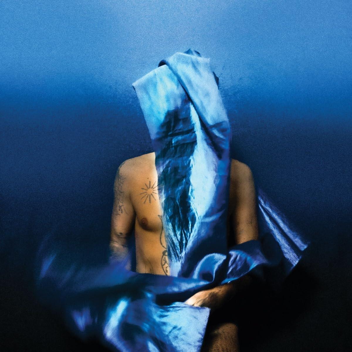 Devendra Banhart - Flying Wig - Lp