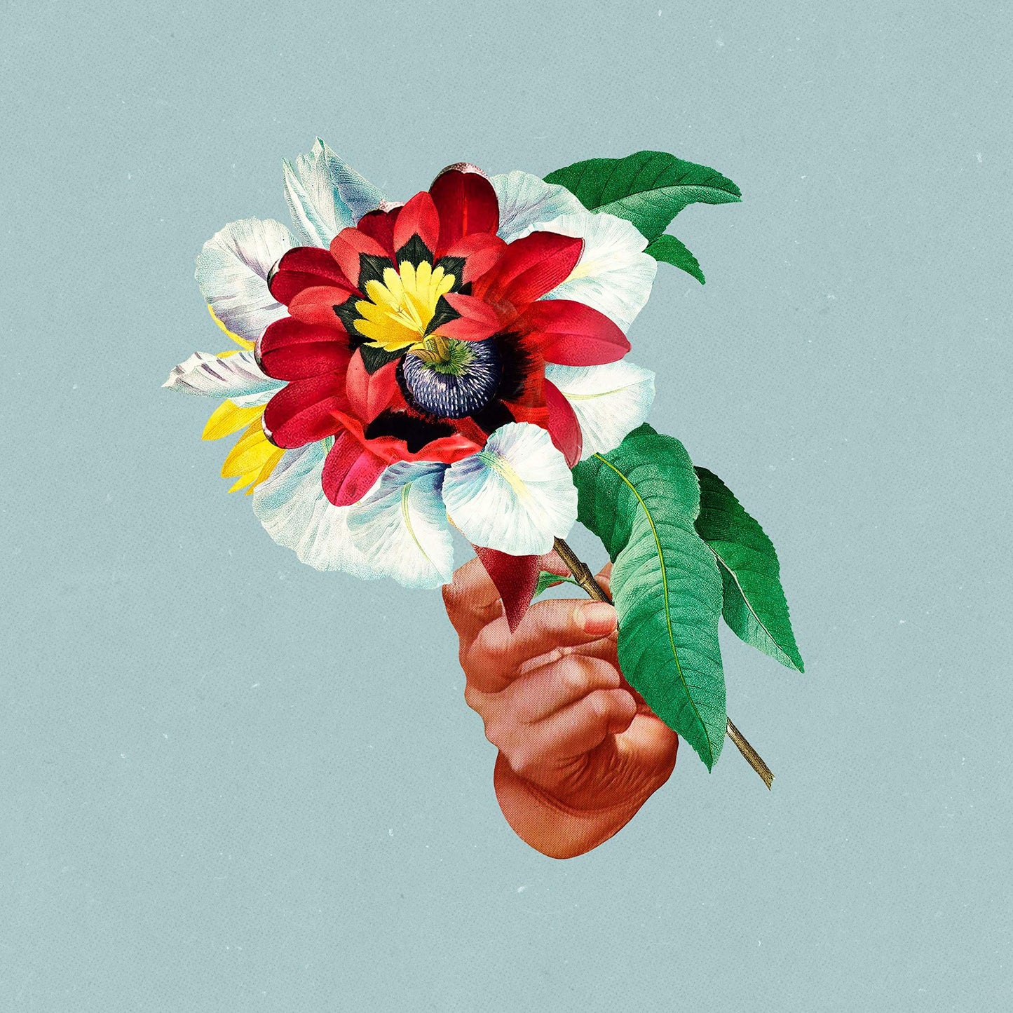 Maribou State - Kingdoms In Colour - Lp