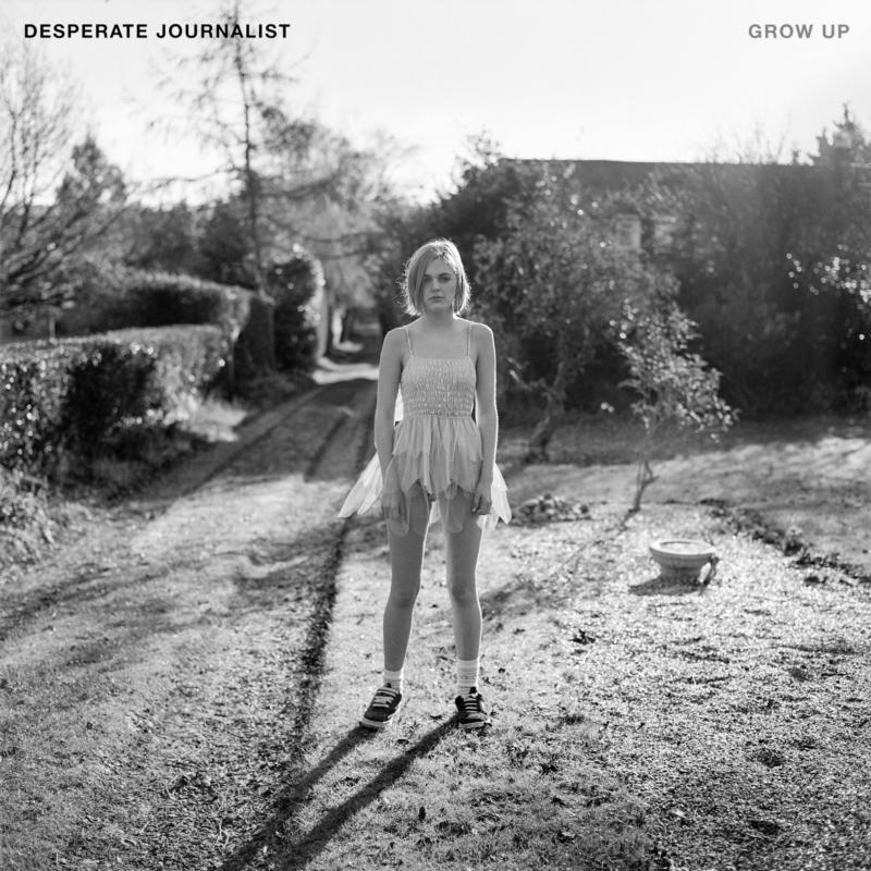 Desperate Journalist - Grow Up - Cd