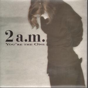 2 Am - You're The One - 7 Inch