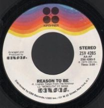 Reason To Be