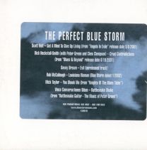Perfect Blue Storm