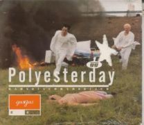Polyesterday