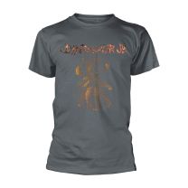 Dinosaur Jr T Shirt Bug Logo Official Mens Charcoal L - Large