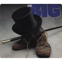 Mr. Big (2023 Remastered)