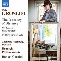 Robert Groslot: the Intimacy of Distance