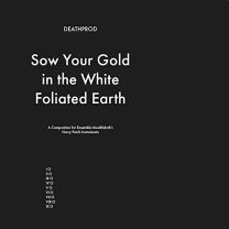 Sow Your Gold In the White Foliated Earth (A Composition For Ensemble Musikfabrik's Harry Parch Instruments)